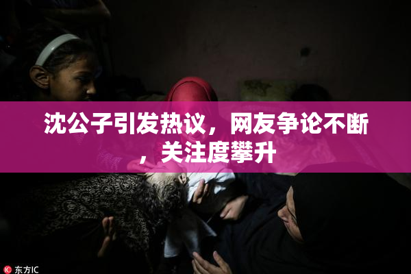 沈公子引发热议，网友争论不断，关注度攀升