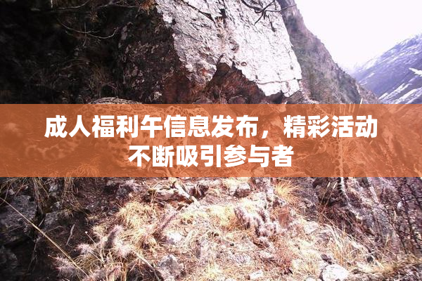 成人福利午信息发布，精彩活动不断吸引参与者