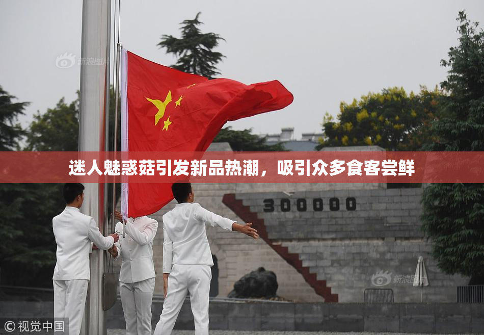 迷人魅惑菇引发新品热潮，吸引众多食客尝鲜