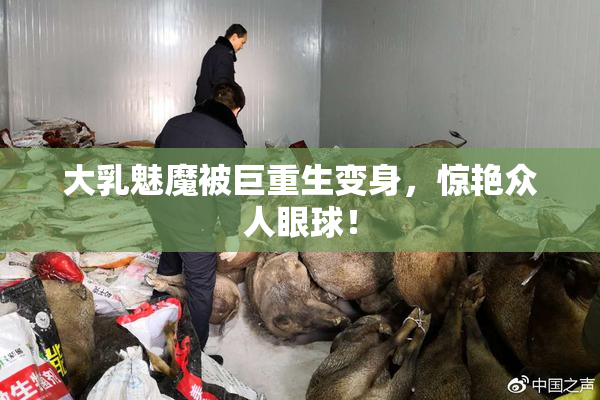 大乳魅魔被巨重生变身，惊艳众人眼球！
