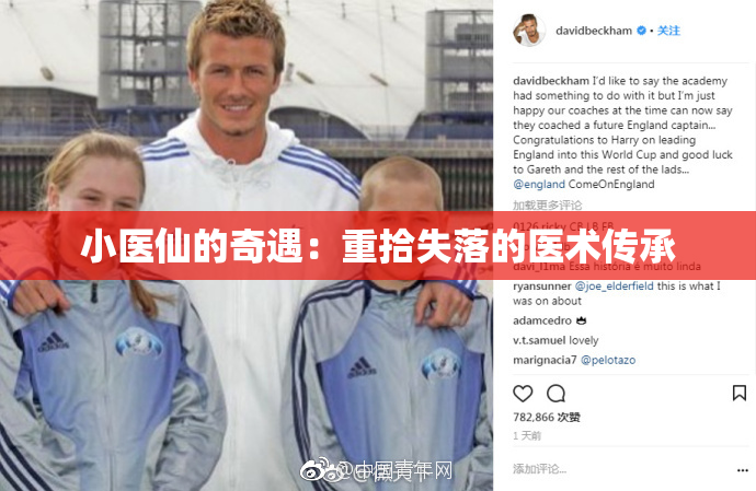 小医仙的奇遇：重拾失落的医术传承