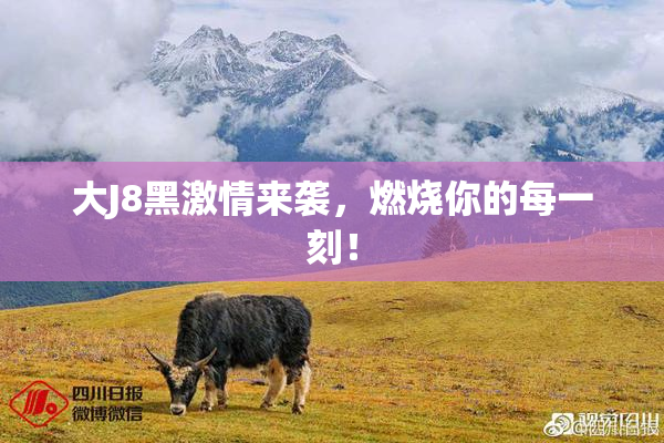 大J8黑激情来袭，燃烧你的每一刻！