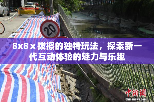 8x8ⅹ拨擦的独特玩法，探索新一代互动体验的魅力与乐趣