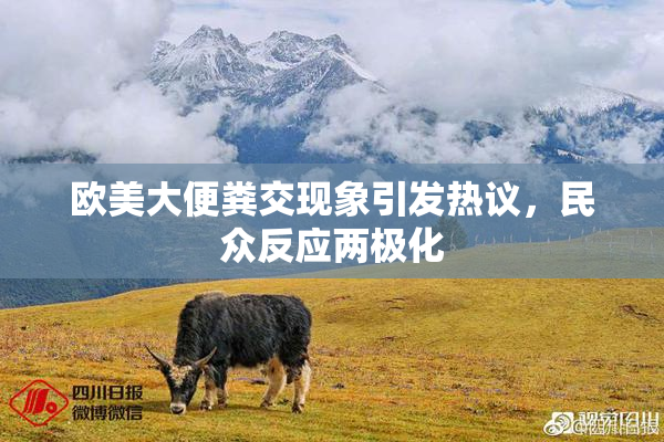 欧美大便粪交现象引发热议，民众反应两极化