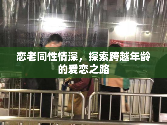 恋老同性情深，探索跨越年龄的爱恋之路