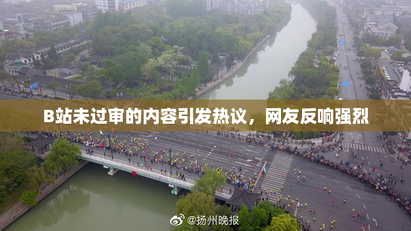 B站未过审的内容引发热议，网友反响强烈