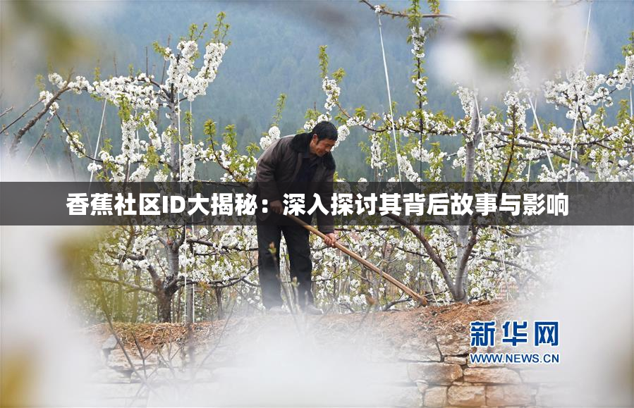 香蕉社区ID大揭秘：深入探讨其背后故事与影响