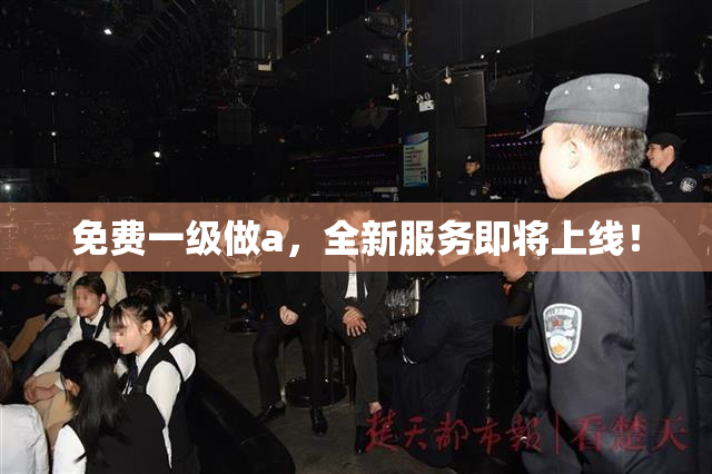 免费一级做a，全新服务即将上线！