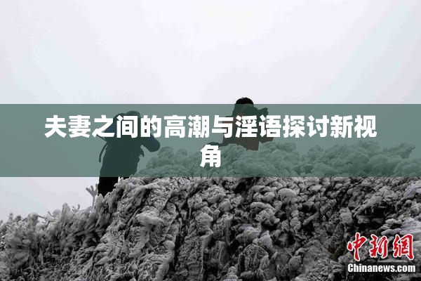 夫妻之间的高潮与淫语探讨新视角