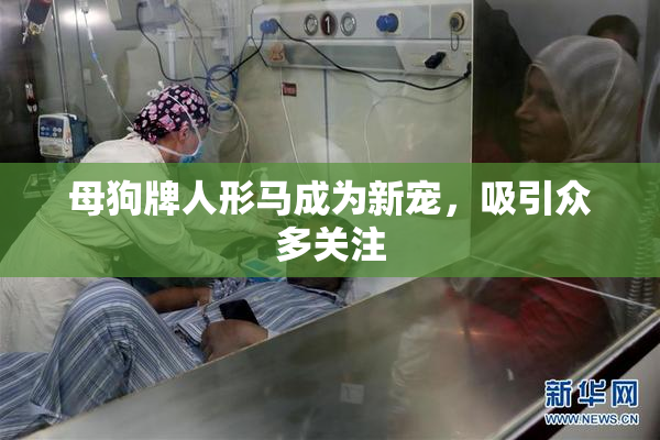 母狗牌人形马成为新宠，吸引众多关注