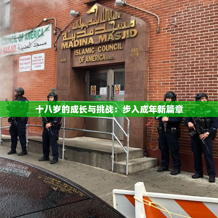 十八岁的成长与挑战：步入成年新篇章