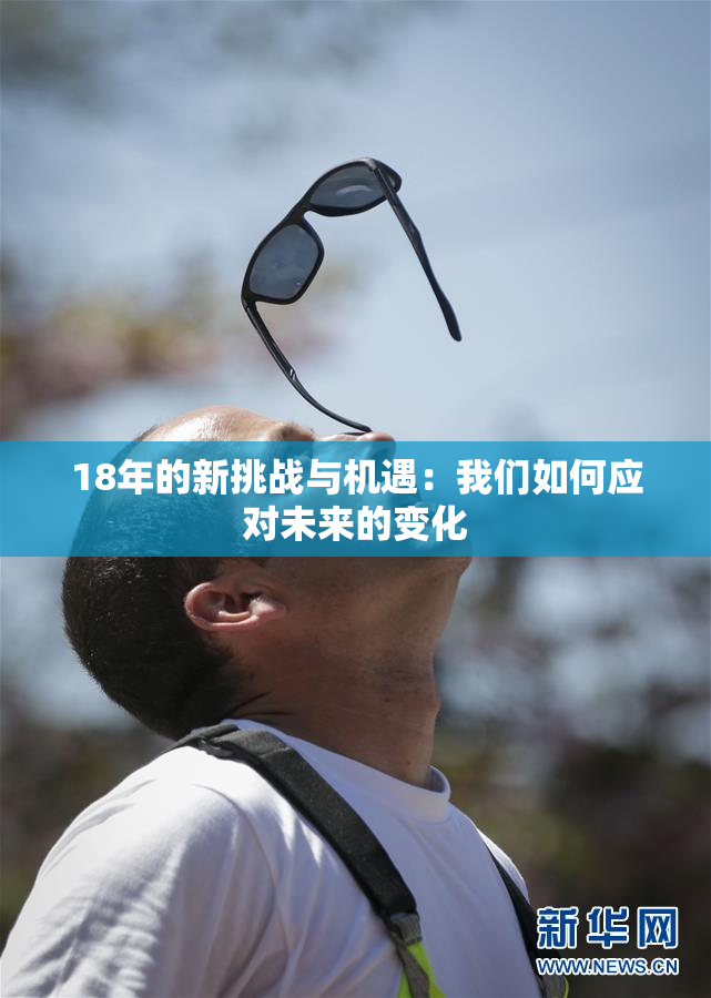 18年的新挑战与机遇：我们如何应对未来的变化