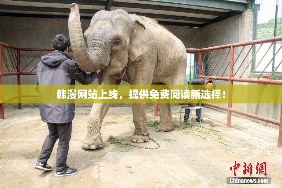 韩漫网站上线，提供免费阅读新选择！