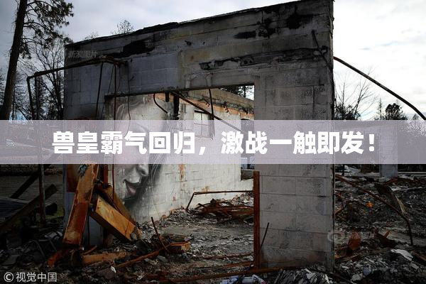 兽皇霸气回归，激战一触即发！