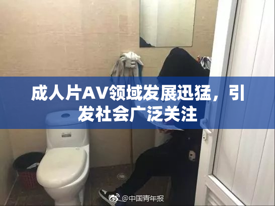 成人片AV领域发展迅猛，引发社会广泛关注