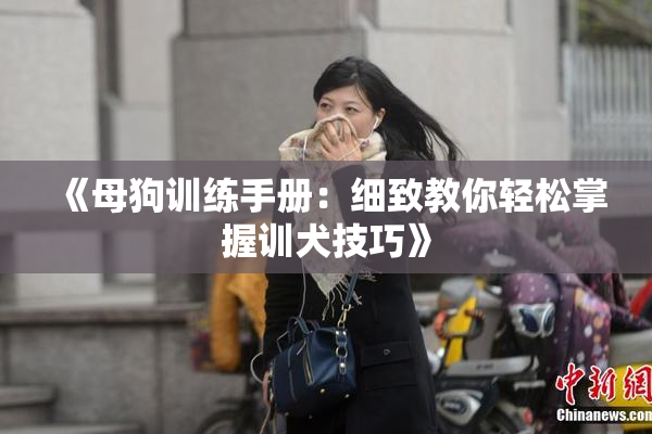 《母狗训练手册：细致教你轻松掌握训犬技巧》
