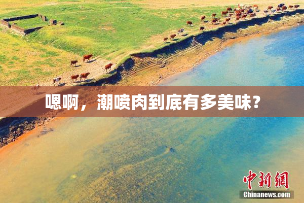 嗯啊，潮喷肉到底有多美味？