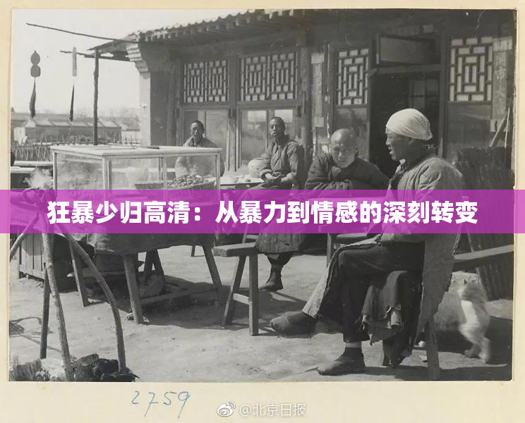 狂暴少归高清：从暴力到情感的深刻转变