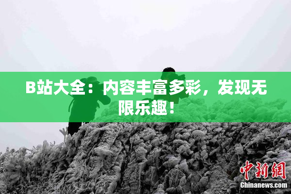 B站大全：内容丰富多彩，发现无限乐趣！