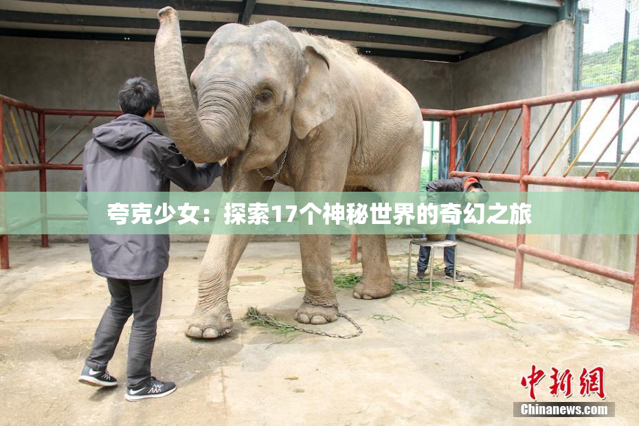 夸克少女：探索17个神秘世界的奇幻之旅
