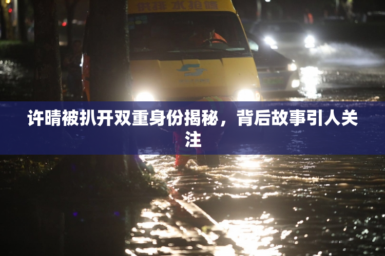 许晴被扒开双重身份揭秘，背后故事引人关注