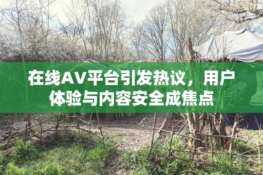 在线AV平台引发热议，用户体验与内容安全成焦点