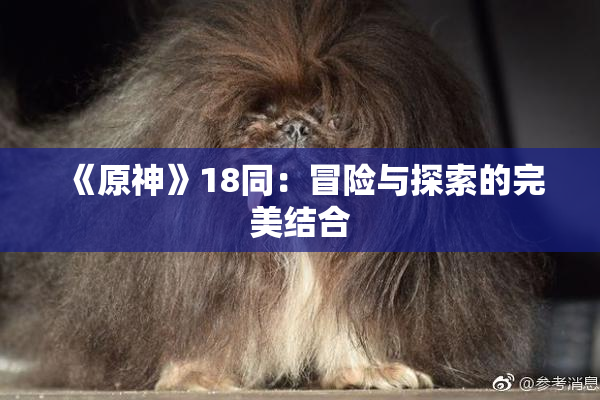 《原神》18同：冒险与探索的完美结合