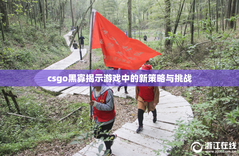 csgo黑寡揭示游戏中的新策略与挑战