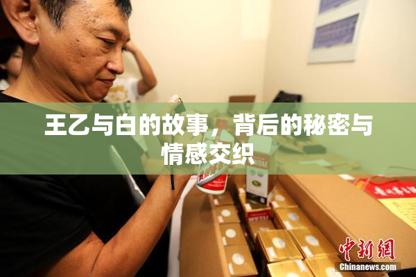 王乙与白的故事，背后的秘密与情感交织