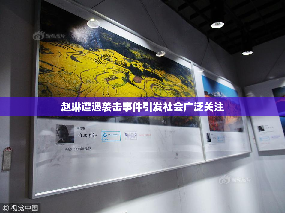 赵琳遭遇袭击事件引发社会广泛关注