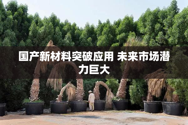 国产新材料突破应用 未来市场潜力巨大