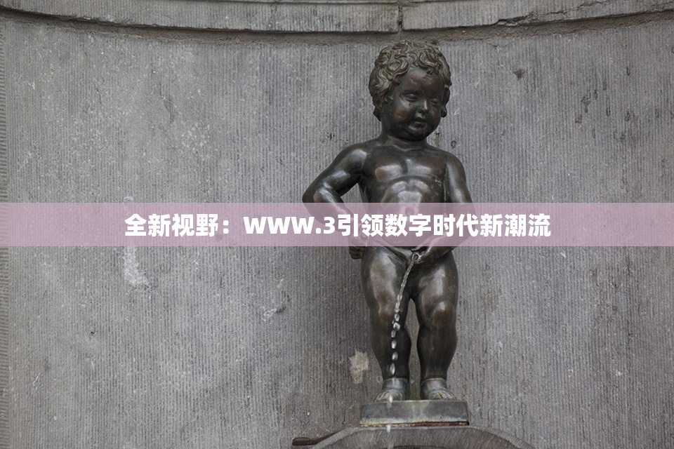 全新视野：WWW.3引领数字时代新潮流