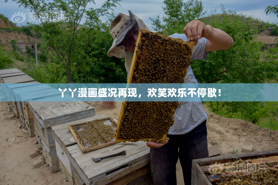 丫丫漫画盛况再现，欢笑欢乐不停歇！