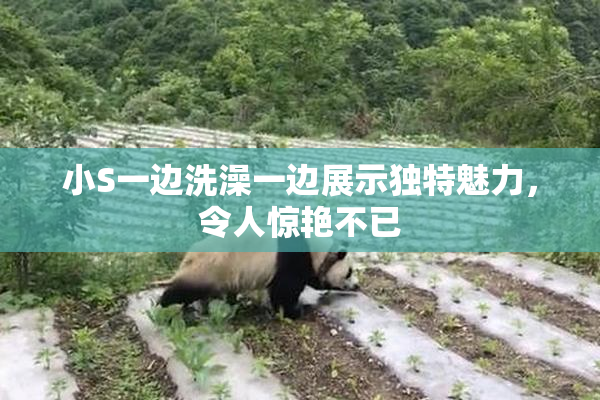 小S一边洗澡一边展示独特魅力，令人惊艳不已