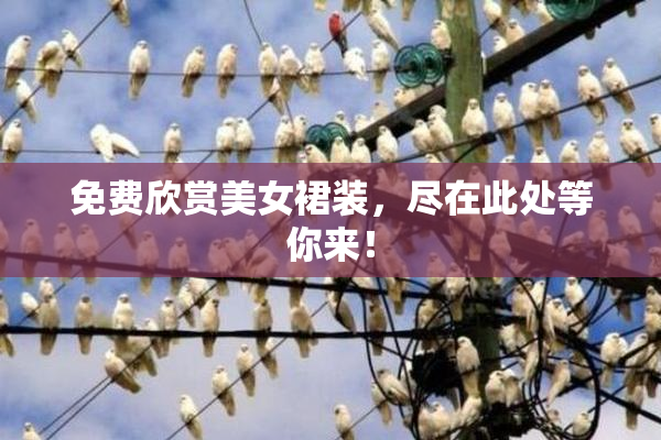 免费欣赏美女裙装，尽在此处等你来！