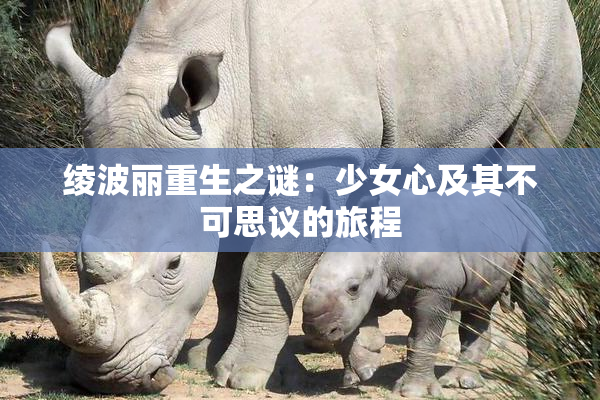 绫波丽重生之谜：少女心及其不可思议的旅程