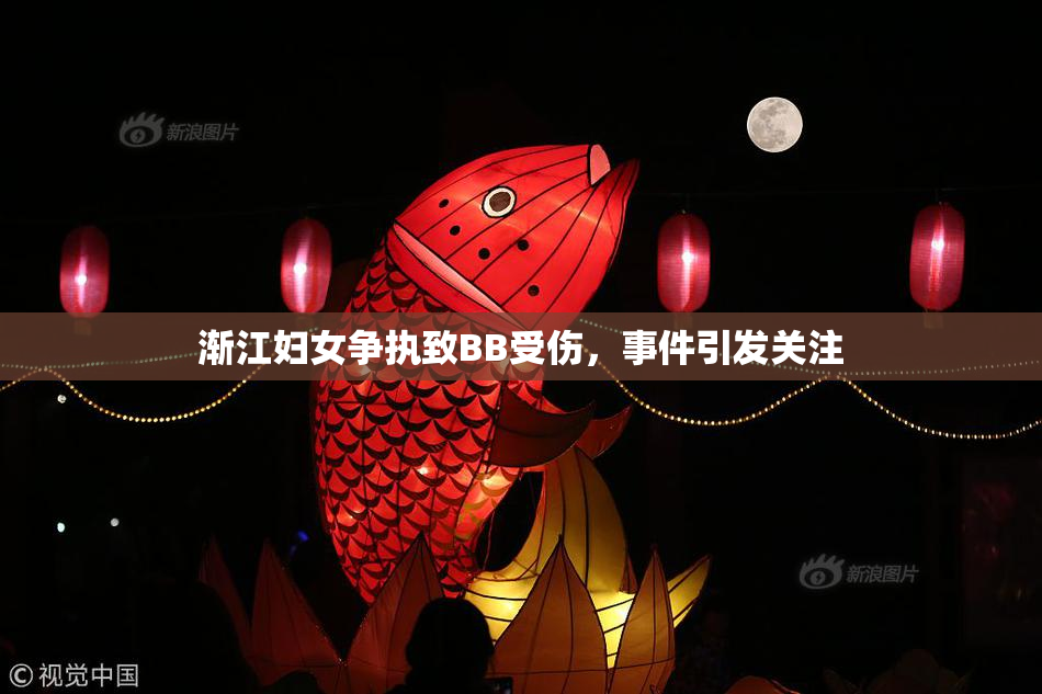渐江妇女争执致BB受伤，事件引发关注