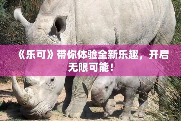 《乐可》带你体验全新乐趣，开启无限可能！