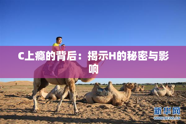 C上瘾的背后：揭示H的秘密与影响