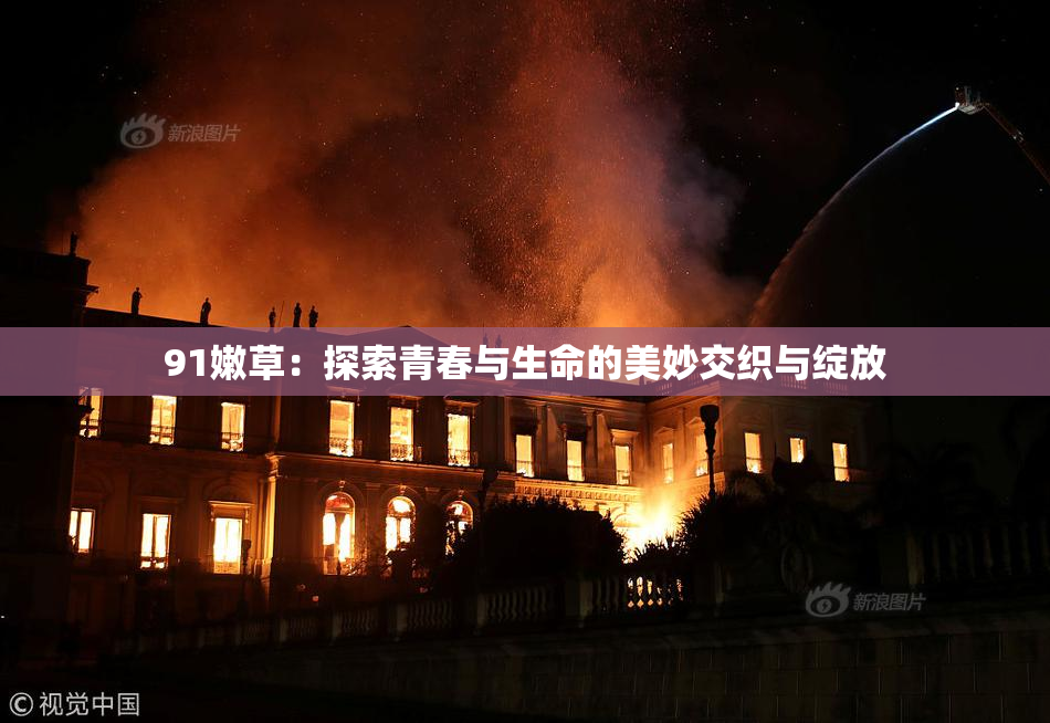91嫩草：探索青春与生命的美妙交织与绽放