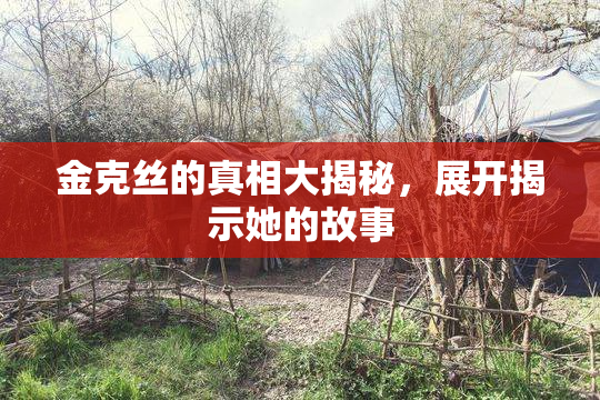 金克丝的真相大揭秘，展开揭示她的故事