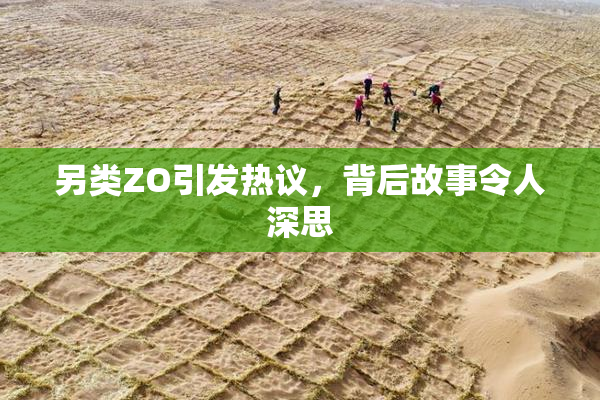 另类ZO引发热议，背后故事令人深思
