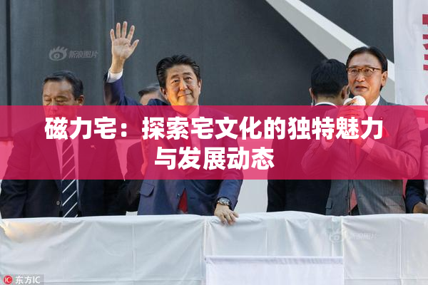磁力宅：探索宅文化的独特魅力与发展动态