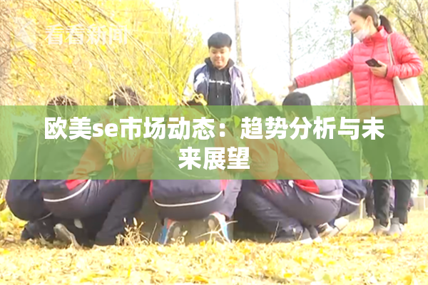 欧美se市场动态：趋势分析与未来展望