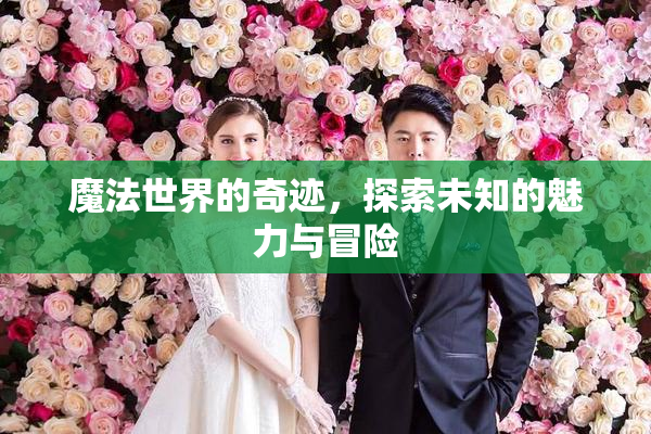 魔法世界的奇迹，探索未知的魅力与冒险