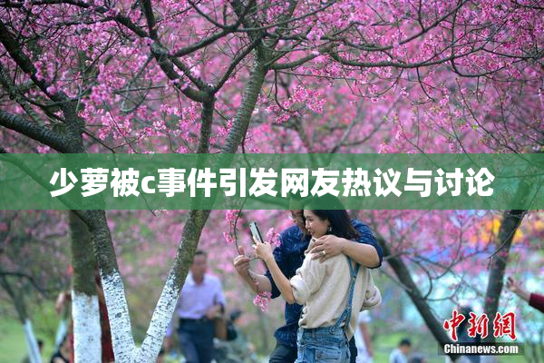 少萝被c事件引发网友热议与讨论