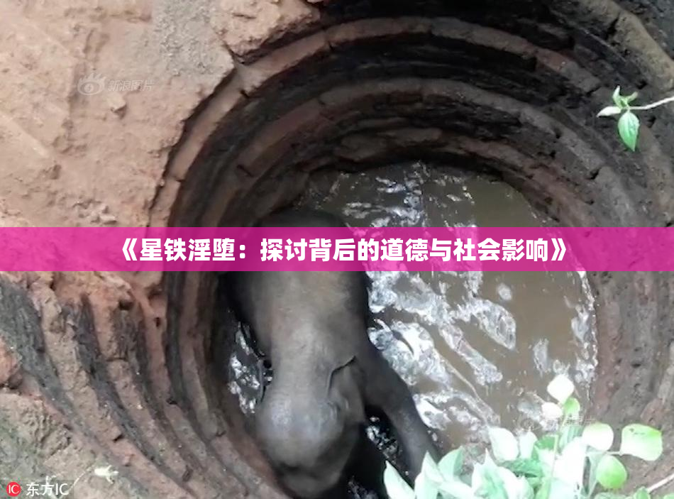 《星铁淫堕：探讨背后的道德与社会影响》