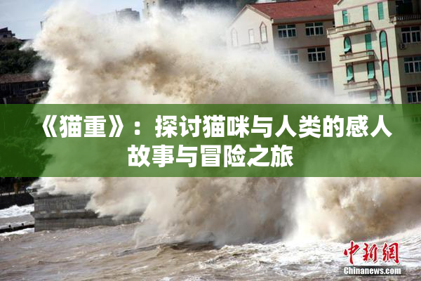 《猫重》：探讨猫咪与人类的感人故事与冒险之旅