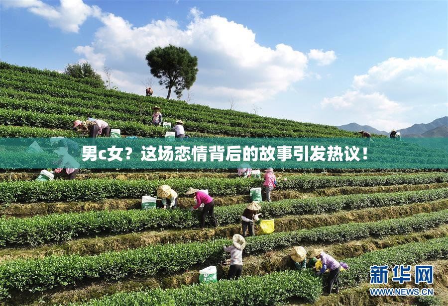 男c女？这场恋情背后的故事引发热议！