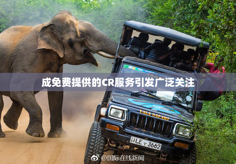 成免费提供的CR服务引发广泛关注